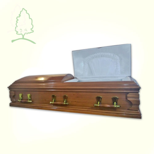 Plan Estándar Silver