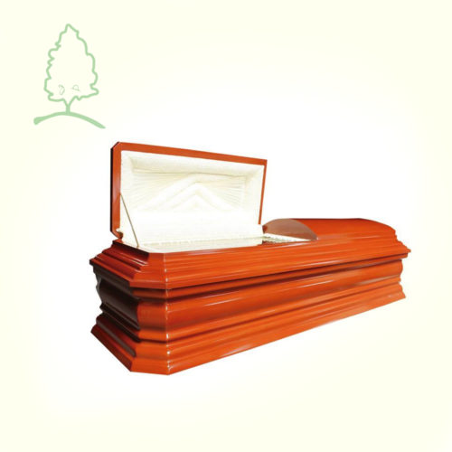 Plan Especial Francés Cedro