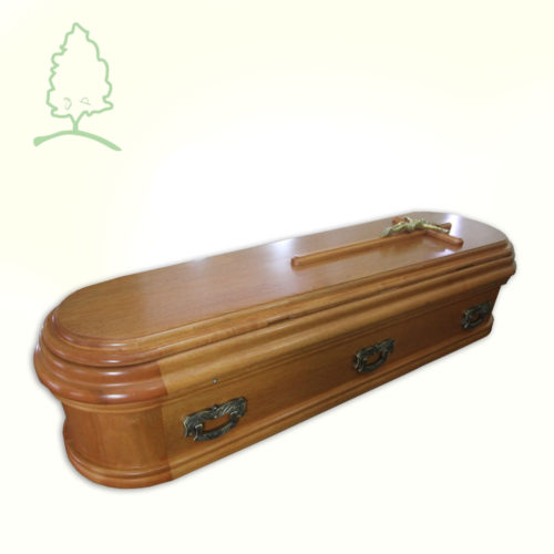 Plan Especial Atenea Coya Cumala