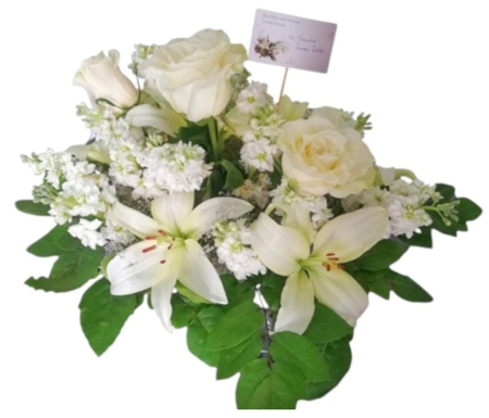Flores