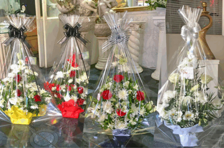 Flores