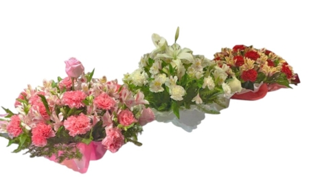 Flores