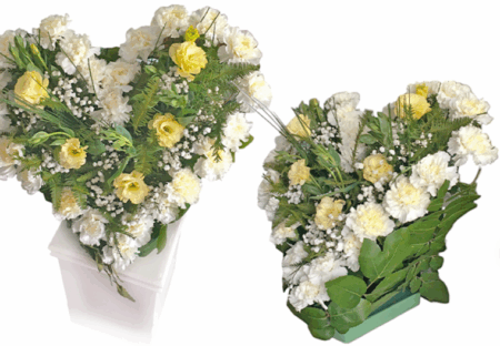Flores