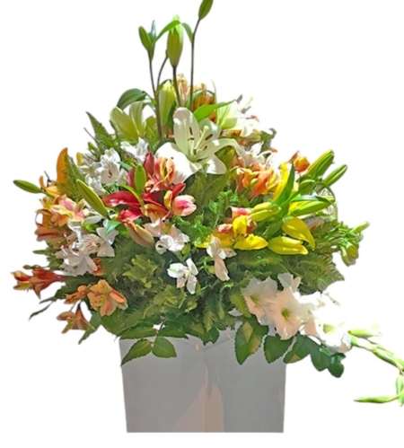 Flores