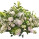 Flores