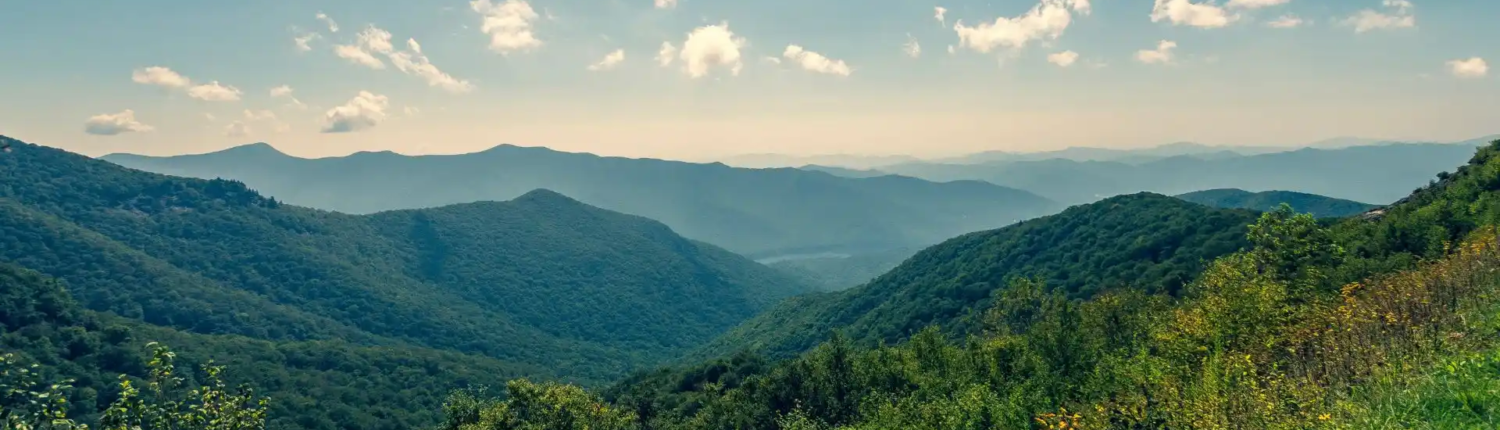 condolencias virtuales